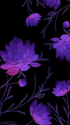 purple flowers on a black background