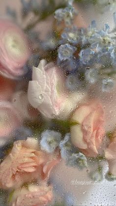 some pink and blue flowers are on the window sill with water droplets all over them