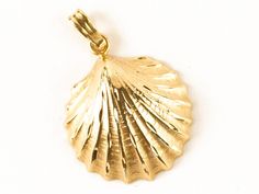 "Size: .8\" x 1.2\" Signed: 14k OD Weight: 1.3d 2g" Gold Shell-shaped Jewelry For Formal Occasions, Clam Shell, Shell Pendant, Sea Shell, 10k Gold, Sea Shells, Jewelry Necklace Pendant, Silver Tone, Shells