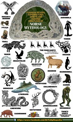 a poster with animals and other things on it