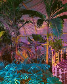 the inside of a tropical greenhouse with palm trees and other greenery in blue, pink, yellow and green colors