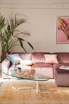 a living room with a couch, coffee table and potted plant in the corner