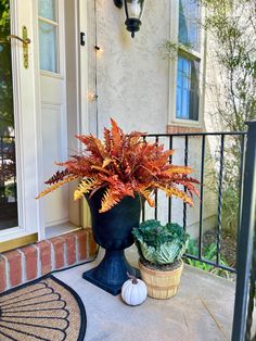 two potted plants sit on the front porch