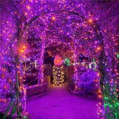 an archway covered in purple and green christmas lights with trees all over the walkway area