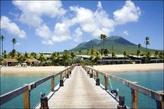 a wooden pier leading to the beach with palm trees on both sides and a mountain in the background