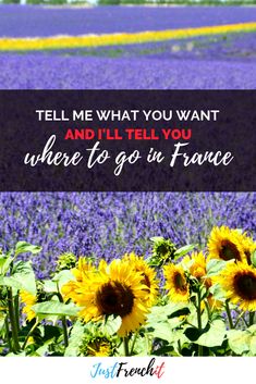 sunflowers in the middle of a lavender field with a quote that says tell me what you want and i'll tell you where to go in france