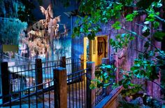 an outdoor area with a wooden fence and green plants growing on it, next to a building that is lit up at night