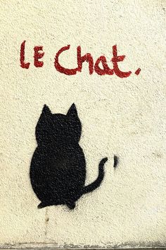 a black cat sitting in front of a wall with the word le chat painted on it