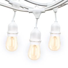 several light bulbs hanging from a white wire