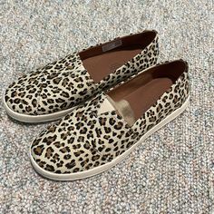 Brand New Never Worn. Size 9 Slip On Toms Canvas Shoes. Toms Sneakers, Leopard Print Sneakers, Silver Sneakers, Pink Sneakers, Print Sneakers, Womens Athletic Shoes, Denim Shoes, Sneakers Grey, Shoes Color