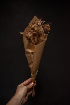 a person holding a bunch of dried flowers in their hand on a black background,