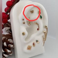 an earring holder with jewelry on it next to a pine cone and red berries