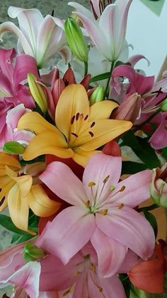 a vase filled with pink and yellow flowers