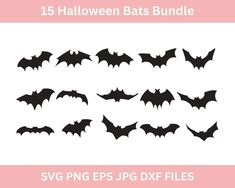 halloween bats bundle svg files