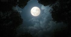 the full moon is shining brightly in the sky above some trees and clouds on a cloudy night