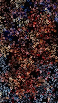 an image of many different colored flowers in the dark night sky with stars on it