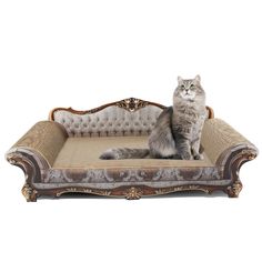 a cat sitting on top of an ornate couch