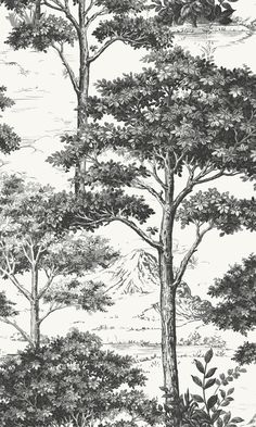 black and white wallpaper with trees in the foreground