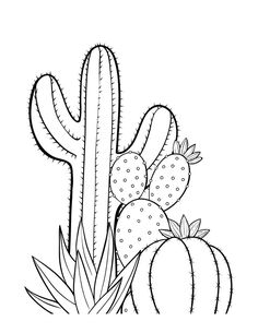 cactus and succulents in the desert coloring page for kids to print out