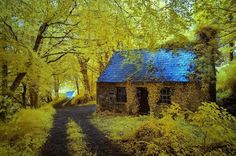 an old cabin in the woods with blue roof