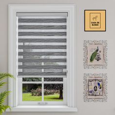 a window with blinds and pictures on the wall next to it in front of a potted plant