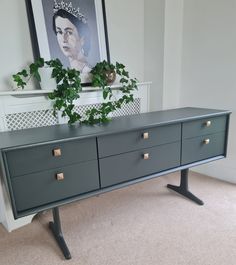 a dresser with two drawers and a plant in front of it on top of carpeted floor