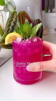 a hand holding a purple drink with lemons and mint on the rim in front of a potted plant