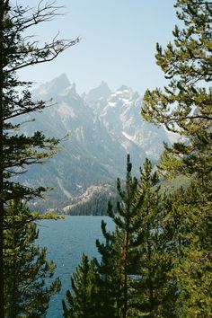 the mountains are covered with snow and pine trees in front of a body of water