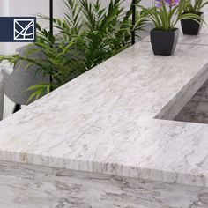 a marble counter top with potted plants in the background