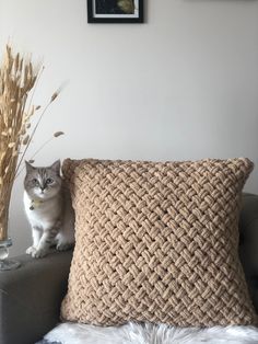 a cat sitting on top of a couch next to a vase filled with dry grass