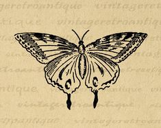 a drawing of a butterfly on top of a piece of paper with the words,