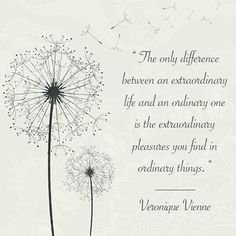 a dandelion with the words, the only defence between an extraordinary life and ordinary one is the extraordinary pleasure you find in ordinary things