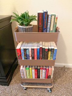 a bookshelf filled with lots of books and a potted plant sitting on top of it