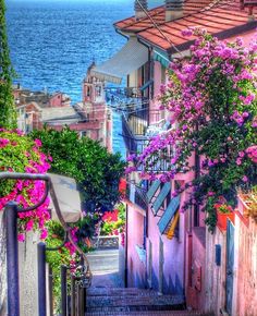 an alley leading to the ocean with pink flowers growing on it and stairs going up