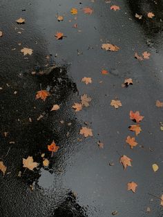 an umbrella is sitting on the wet ground next to some leaves and trees in the rain