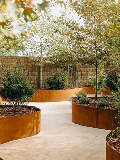 an outdoor garden with trees and plants in the center, surrounded by concrete walkways