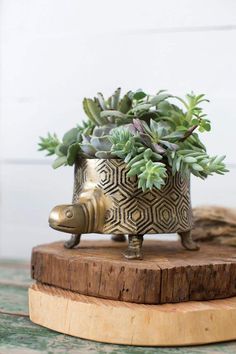 a potted plant sitting on top of a wooden board next to a metal object