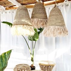 three hanging baskets and a plant in front of a curtain