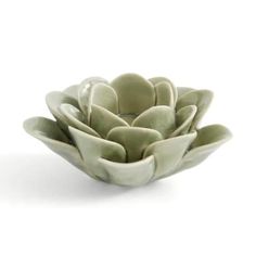 a white bowl filled with lots of green leaves