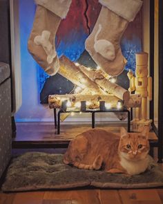 an orange and white cat laying on top of a rug next to a fireplace with stockings