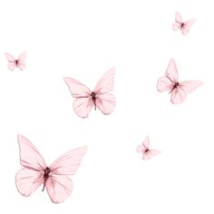 several pink butterflies flying in the air