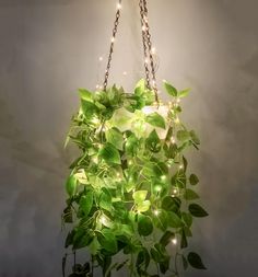 a green plant hanging from a chain with lights on it's sides and leaves in the air