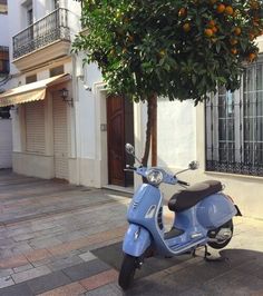 a scooter is parked on the sidewalk next to an orange tree