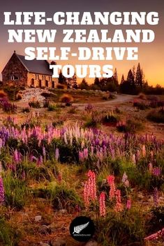 a field with purple flowers and a house in the background that says life - changing new zealand self drive tours