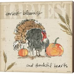 a thanksgiving card with a turkey, pumpkins and wheat stalks on the front cover