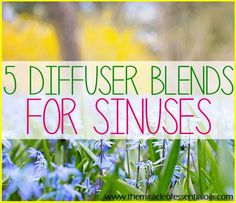 Use any of these 5 essential oil diffuser blends for sinus infection as a natural treatment! Sinus infections are a common illness, especially during spring and cold seasons. A sinus infection is caused by inflammation of the sinuses. Essential Oils Sinus, Oils For Sinus, Essential Oils For Colds, Essential Oil Remedy, Yl Oils, Oil Remedies, Essential Oils Health, Oregano Oil, Essential Oil Diffuser Recipes