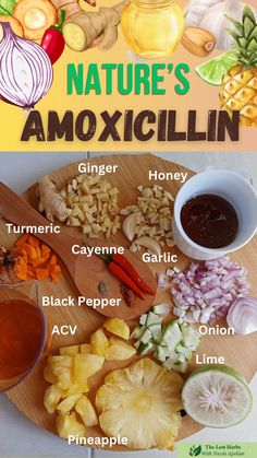 The problem with store-bought amoxicillin is that it targets all types of bacteria – bad AND good. That’s why people who take it often experience an upset stomach and diarrhea – as it messes up your gut flora. But you won’t have to worry about that if you take this: Food Health Benefits, Herbal Recipes, Natural Antibiotics, Healthy Drinks Recipes