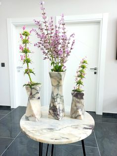 three vases with flowers are sitting on a marble table in front of a door