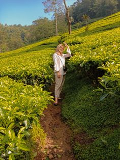 a woman standing in the middle of a lush green tea field with her hand on her head