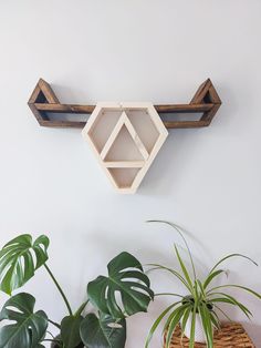 some plants are sitting next to a white wall and a wooden shelf with geometric shapes on it